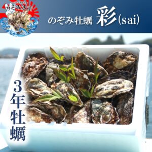 のぞみ牡蠣“彩”<br><span style="font-size: 14px;">（殻付き約45個。2〜3人向け。）</span>