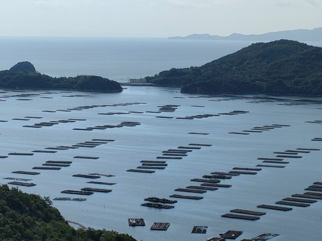 岡山県虫明ってこんないいとこあるよ～岡山いこいの村～
